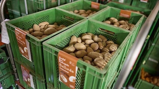 Kartoffeln in Plastikkisten