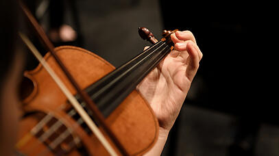 Violine
