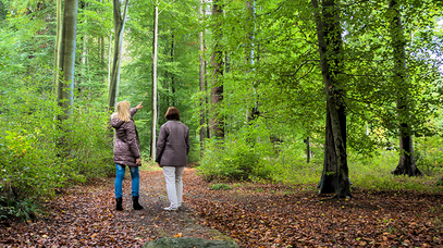 Zwei Frauen stehen mit dem Rücken zur Kamera auf einem Waldweg. Eine der Frauen zeigt mit ihrer Hand in den Wald.
