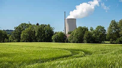 Hinter einem grünen Feld und einigen Bäumen ragt ein großer Kühlturm auf, aus dem weißer Dampf aufsteigt.