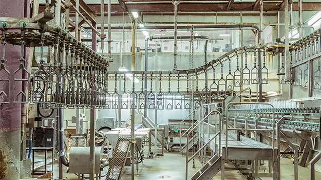 Das Bild zeigt einen industrielle Anlage. An der Decke verläuft ein System, von dem zahlreiche Haken herunterhängen.