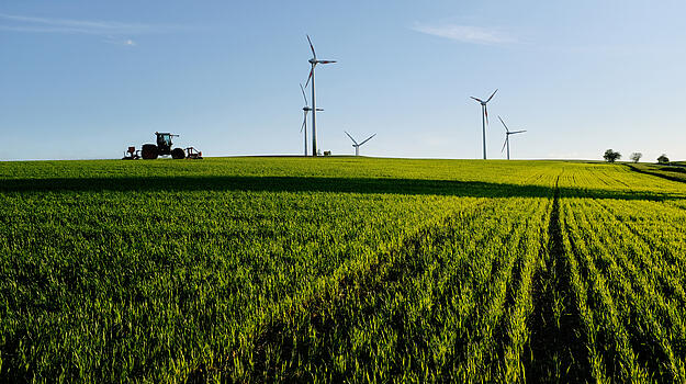 Ein Traktor fährt über ein grünes Getreidefeld. Im Hintergrund stehen fünf Windräder.