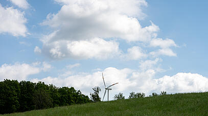 Über der Spitze eines Hügels ist ein Windrad zu sehen. Am linken Bildrand steht eine Baumgruppe.
