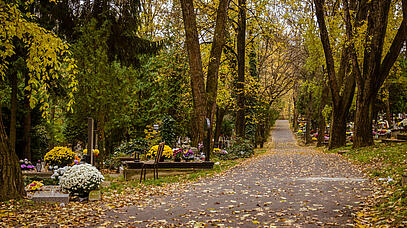Friedhof, Herbstlaub