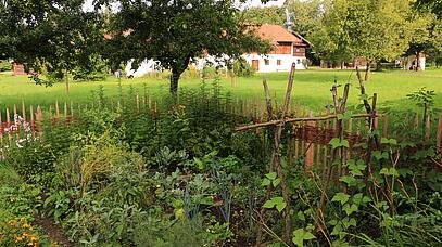 Wiese, Garten , Haus im Hintergrund 