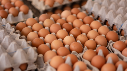Eier liegen in einem Karton